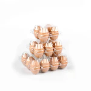 PET (Polyethylene Terephthalate) Egg Trays