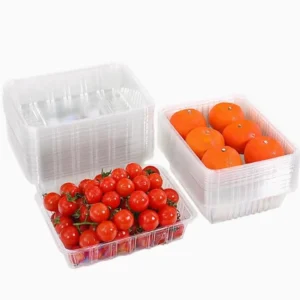 PET (Polyethylene Terephthalate) Fruit Vegetable Trays
