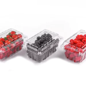 PS (Polystyrene) Berry Fruits Package Hinged Boxes
