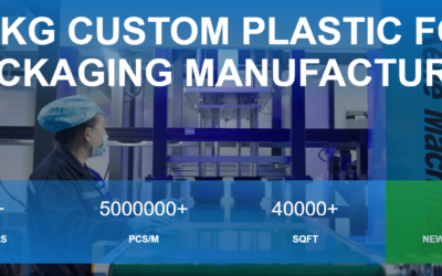 Top 10 Advantages Of Choosing Disposable Food Packaging Manufacturers For Your Business
