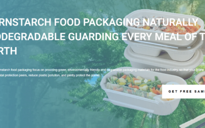 Top 10 Eco Friendly Food Packaging Manufacturers For Global Service