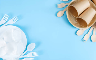 What Materials Are Disposable Tableware Made Of And How Are They Produced?