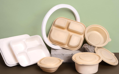 What are the most sustainable food packaging materials in 2025?