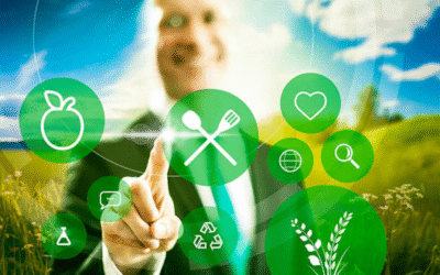 What Is The Most Eco-Friendly Food Packaging?