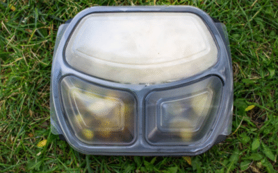 Top 6 Hinged Lid Plastic Container Manufacturers In 2025