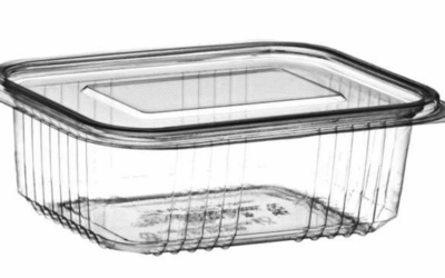 Top 6 Clear Plastic Hinged containers Manufacturers In 2025