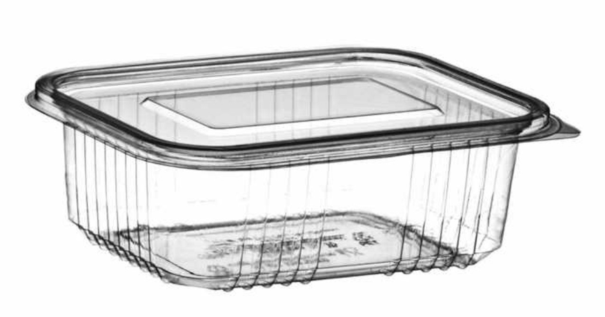 Top 6 Clear Plastic Hinged containers Manufacturers In 2025