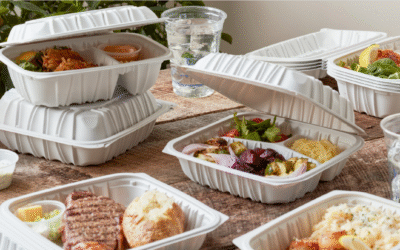 Can Hinged Lid Plastic Containers Be Used in Microwave and Freezer?