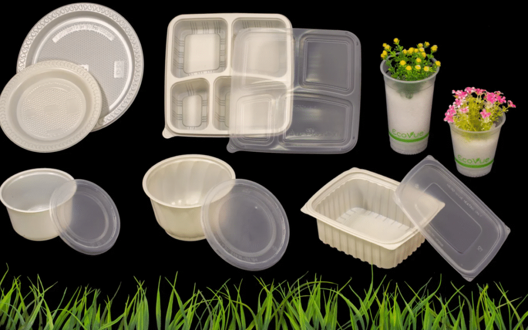 Top 10 Biodegradable Food Container Manufacturers in China