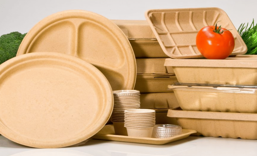 Leading Biodegradable Takeout Container Factories in USA