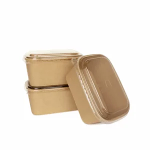 Leading Custom Disposable Bento Box Factory