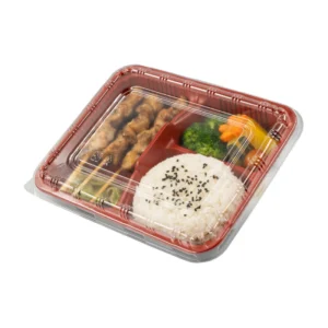 Leading Custom Disposable Bento Box Factory
