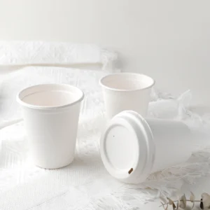 Food-Grade Disposable Coffee Cup Manufacturers