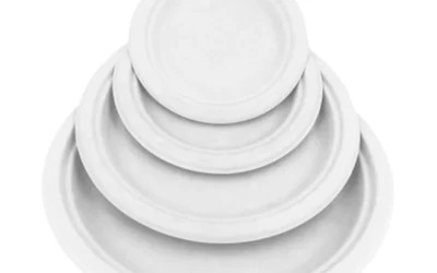 5 Best Wholesale Supplier of Disposable Compostable Plates in Canada