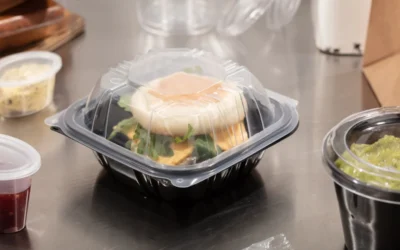 Choosing the Right PP Dual-Color Hinged Trays Manufacturer: Certifications, MOQs, and Market Success