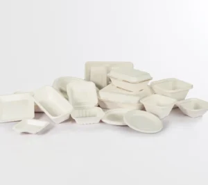 Eco-friendly Sugarcane Disposable Products Manufacturers