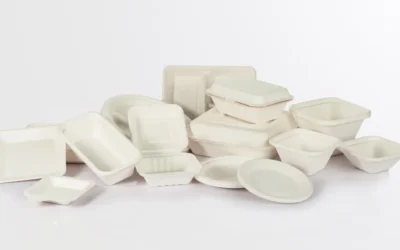 Top 10 Eco-Friendly Sugarcane Disposable Products Manufacturers in Canada