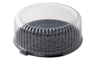 7 Leading Transparent Cake Container Manufacturers in the USA